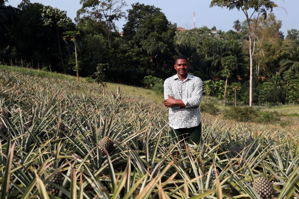 Governo são-tomense vai iniciar recenseamento agrícola