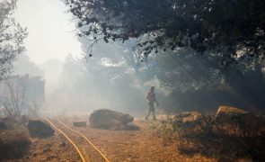 Incêndio em Chaves está dominado mas 100 operacionais mantêm-se a combater chamas