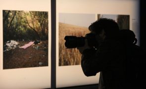 Três fotógrafos portugueses no 'pódio' de concurso em Macau