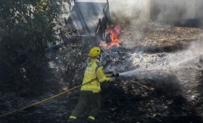 Mais de 50 concelhos do interior Norte e Centro em risco máximo de incêndio