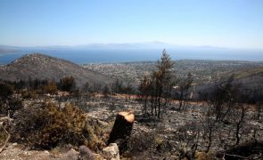 Incêndio na região de Atenas já devastou 10.000 hectares e matou uma pessoa