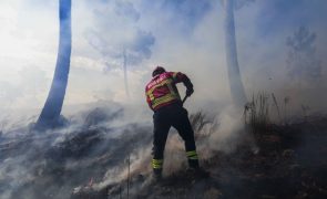 Grande parte do interior Norte e Centro  em risco máximo de incêndio