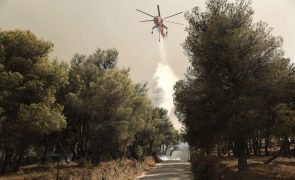 Fogo em Penafiel combatido por 125 operacionais e 10 meios aéreos