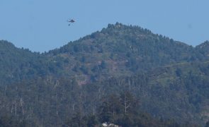 Fogo na Madeira obriga a retirar residentes no Curral das Freiras