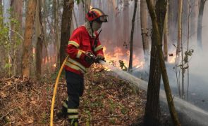 Perigo máximo de incêndio em mais de 40 concelhos