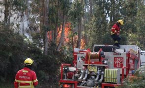 Câmara de Lobos com uma frente de incêndio após reacendimento na Fajã dos Cardos