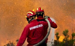 Perigo máximo de incêndio em cerca de 50 concelhos