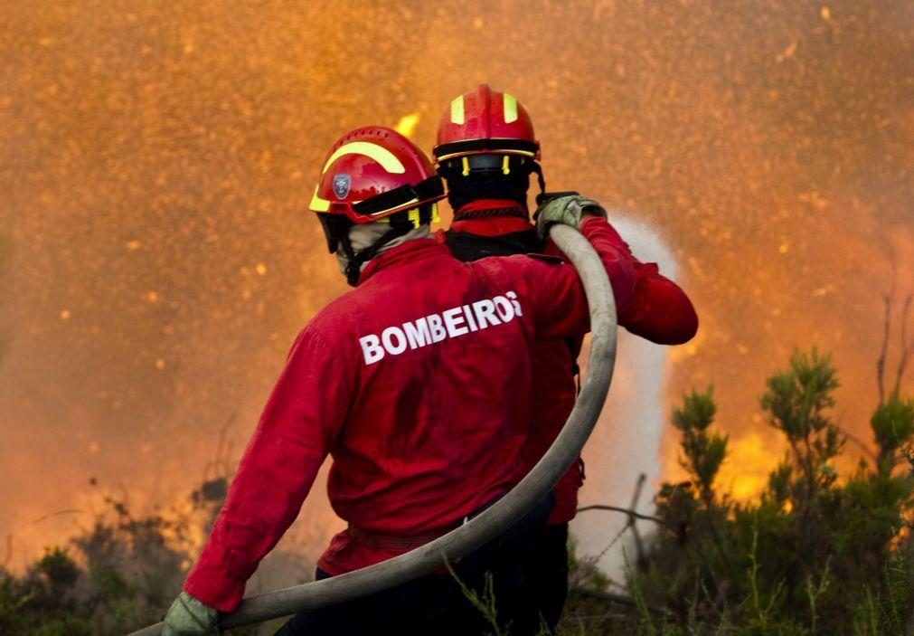 Perigo máximo de incêndio em cerca de 50 concelhos