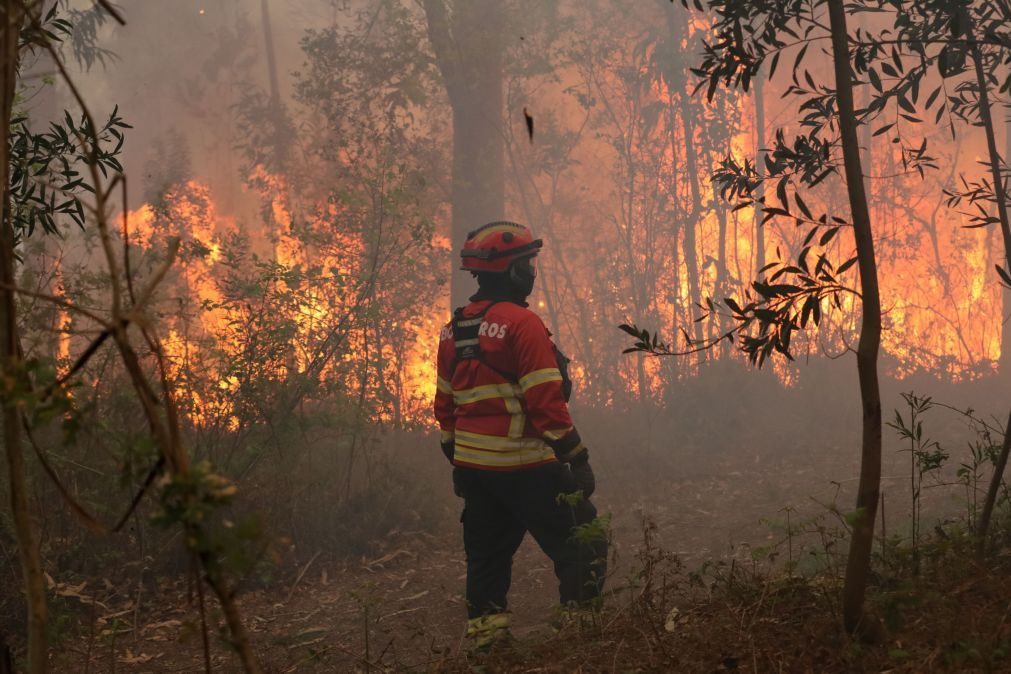 Perigo máximo de incêndio em cerca de  50 concelhos