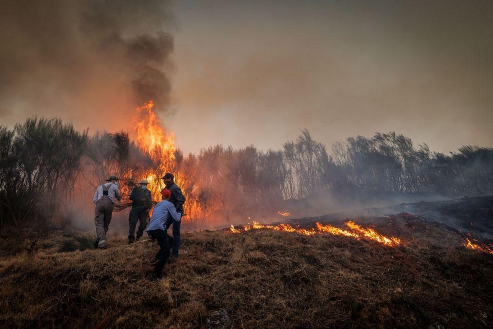 Centena e meia de bombeiros e três meios aéreos combatem fogo na Azambuja