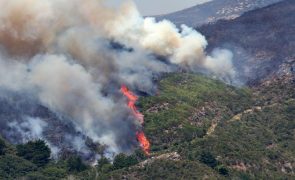 Costa sul da Madeira sob aviso amarelo até às 18:00 de sexta-feira devido ao calor