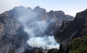 Incêndios/Madeira: PS pede audição urgente da ministra da Administração Interna no parlamento