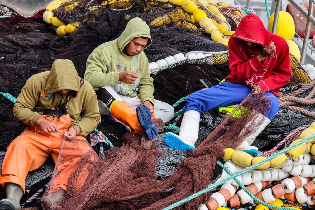 Como os indonésios estão a salvar a pesca portuguesa