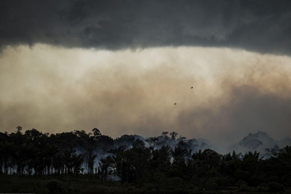 Incêndios no Pantanal queimaram mais de 15% do bioma este ano