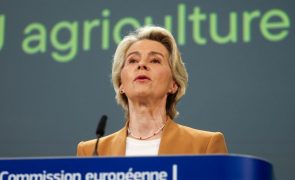 Comissão Europeia quer rever ajudas a pequenos agricultores