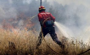 Cerca de 30 concelhos de quatro distritos em perigo máximo de incêndio