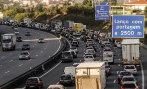 Ambientalistas apelam à concretização urgente de Zonas de Zero Emissões