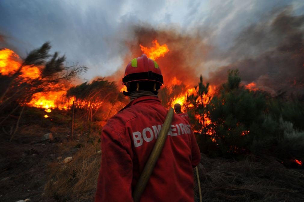 Mais de 40 concelhos de sete distritos em perigo máximo de incêndio