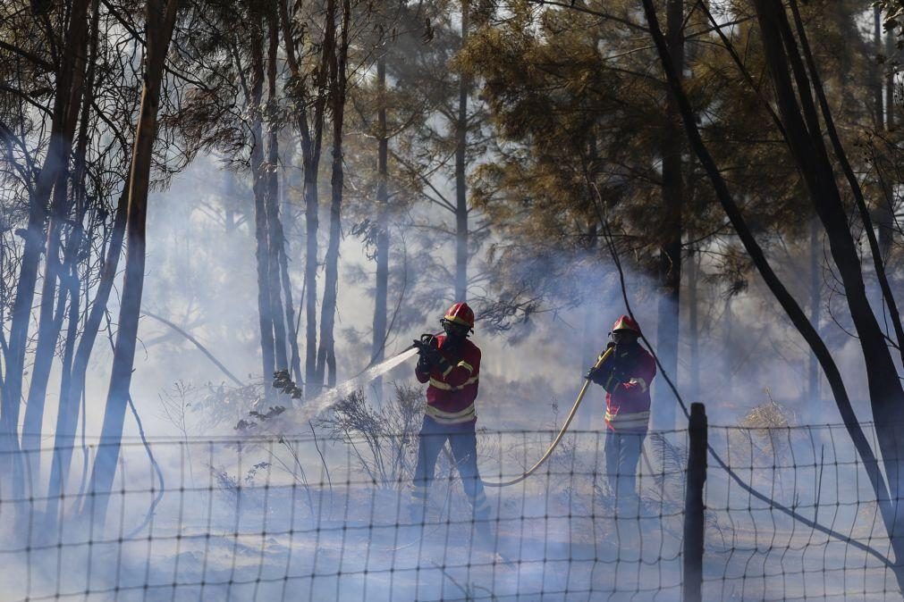 Fogo na freguesia da Amora mobiliza mais de 300 operacionais