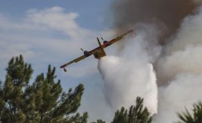 Número de fogos e área ardida registam este ano o valor mais reduzido da década