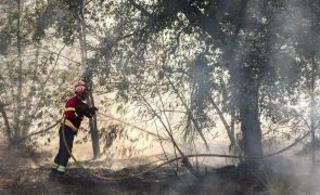 Mais de 400 operacionais prosseguem combate a incêndio com início na Amora