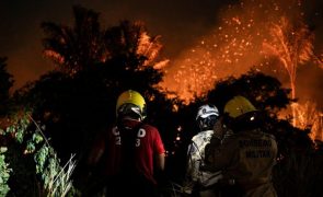 Incêndios cresceram 149% em agosto no Brasil