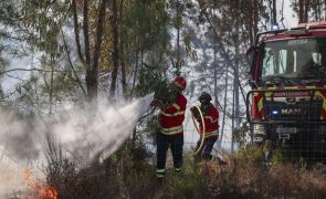 Fogo que deflagrou na quarta-feira no Seixal está em fase de rescaldo