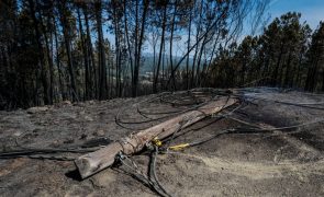 Proteção civil pede cuidado devido a meteorologia favorável a fogos nos próximos dias