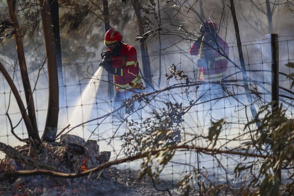 Mais de 360 operacionais combatem fogos na Caranguejeira e em Oliveira de Azeméis