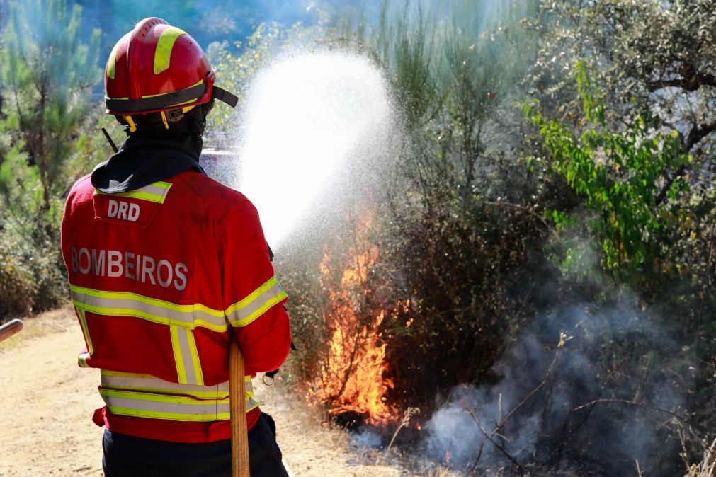 Alerta vermelho no combate a incêndios no Norte e Alto Alentejo na segunda e terça-feira