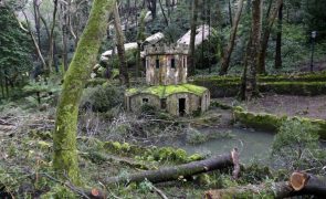 Perímetro florestal da Serra de Sintra encerrado devido a risco elevado de incêndio rural