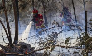 Perigo máximo de incêndio rural em mais de 100 concelhos do continente