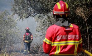 Autoestradas A1, A25 e A29 cortadas no distrito de Aveiro