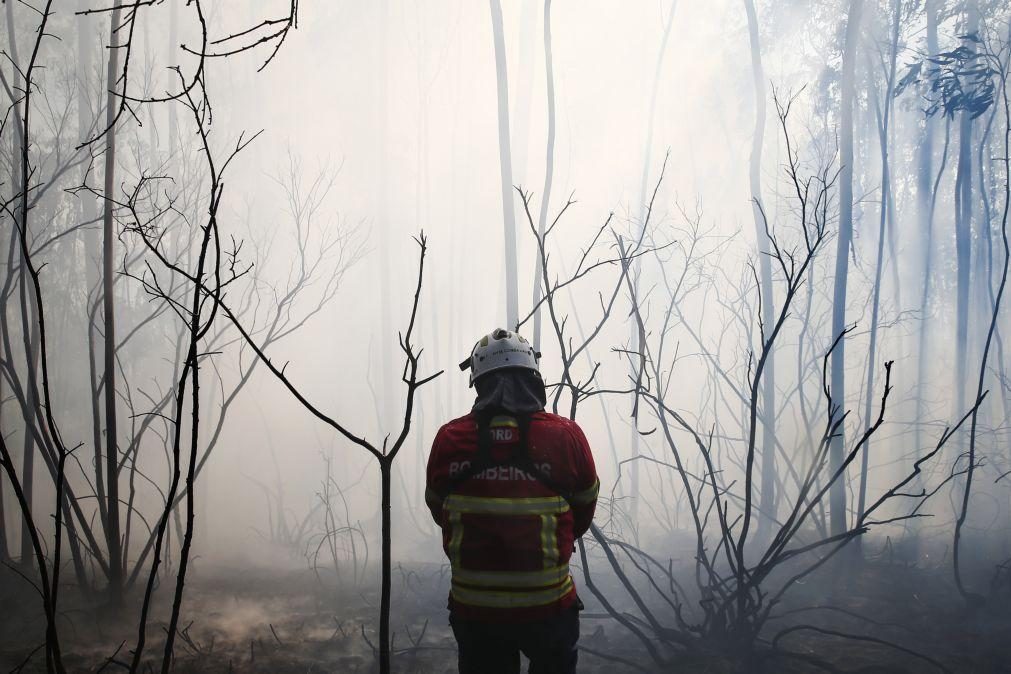 UE pronta para ajudar Portugal no combate aos incêndios mas ainda não recebeu pedido