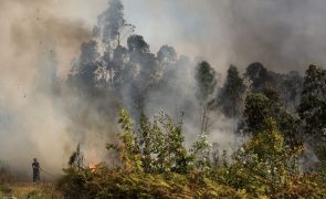 Linha do Norte reabriu à circulação em Cacia, Aveiro