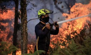 Cinco fogos no distrito de Aveiro mobilizam mais de 1.200 operacionais