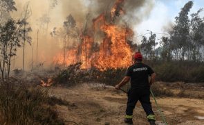 Perto de cinco mil operacionais combatiam 126 fogos às 17:40