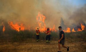 Seis bombeiros sofreram ferimentos ligeiros em Gondomar