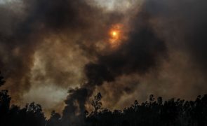 Autoestrada 13 em Coimbra cortada ao trânsito devido a Incêndio