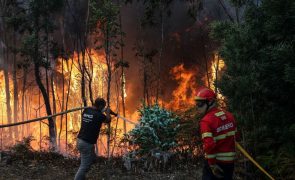 Dez mil hectares ardidos entre a Área Metropolitana do Porto e Aveiro