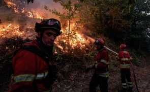 Fogo obriga ao corte da A24 em Vila Pouca de Aguiar