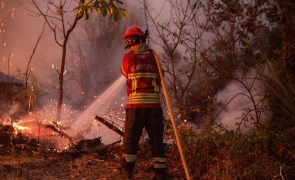 Três casas arderam e vários idosos deslocados em aldeia de Vila Pouca de Aguiar