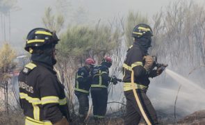 Fogo no concelho de Castelo Branco destruiu 300 hectares