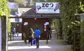 Zoo Santo Inácio em Gaia encerrado devido à qualidade do ar