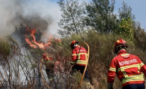 Mais de 5.300 bombeiros envolvidos no combate aos incêndios em todo o país