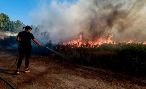 Segunda-feira foi o dia com maior número de fogos este ano