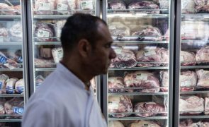 Brasil prevê recorde de produção de carne suína e de frango em 2025