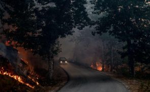 A24 reaberta na zona de Vila Pouca de Aguiar após corte devido a incêndio