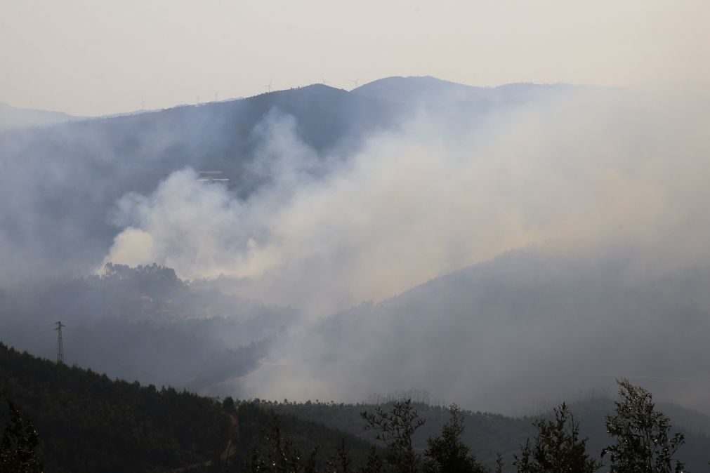 Mais de 106 mil hectares arderam em Portugal continental desde domingo