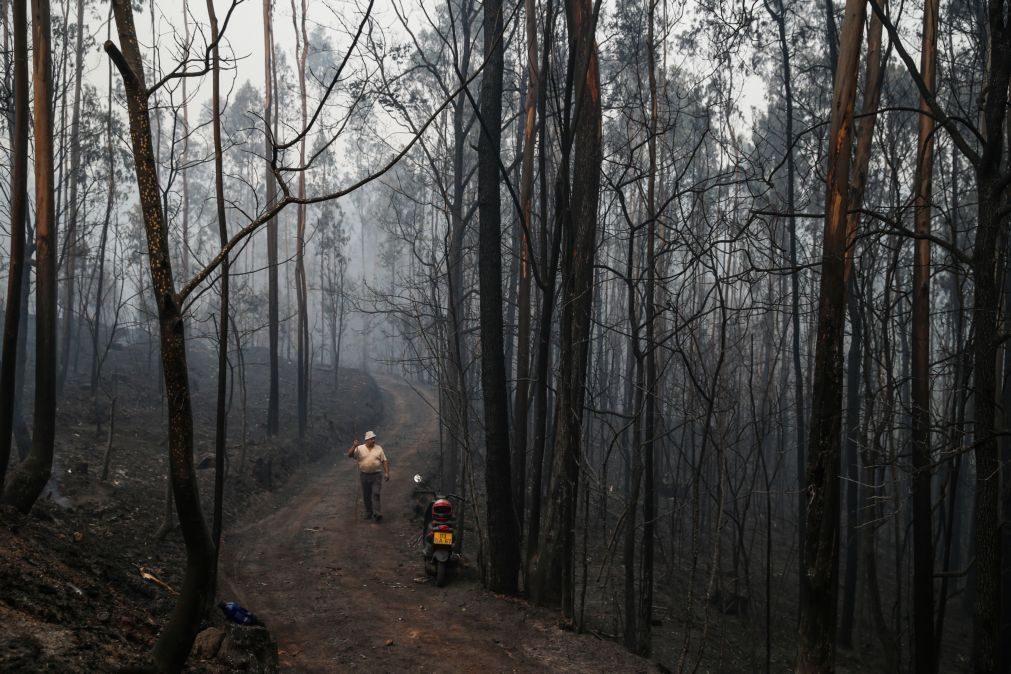 Setenta e quatro pessoas estão presas ou detidas por fogo posto